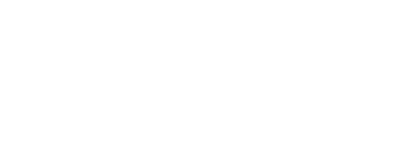 Logo Imagn Institute